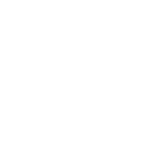 Santini cosmetics